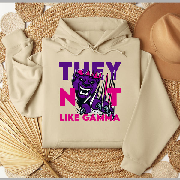 They Not Like Gamma | Sigma Lambda Gamma