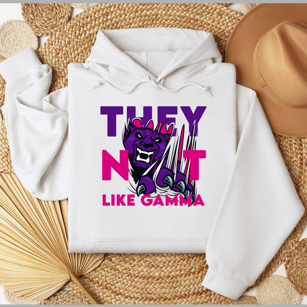 They Not Like Gamma | Sigma Lambda Gamma