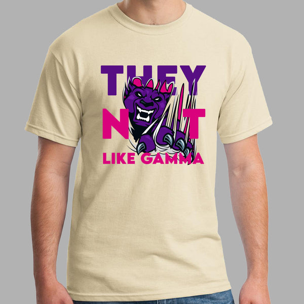 They Not Like Gamma | Sigma Lambda Gamma