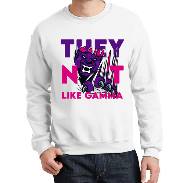 They Not Like Gamma | Sigma Lambda Gamma