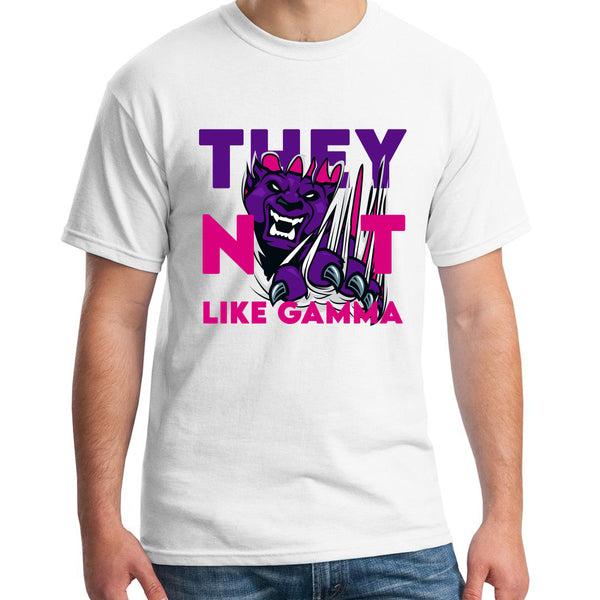 They Not Like Gamma | Sigma Lambda Gamma