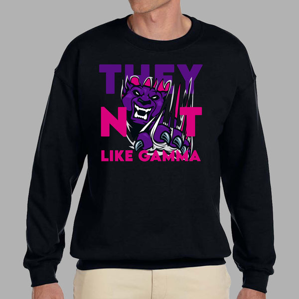 They Not Like Gamma | Sigma Lambda Gamma